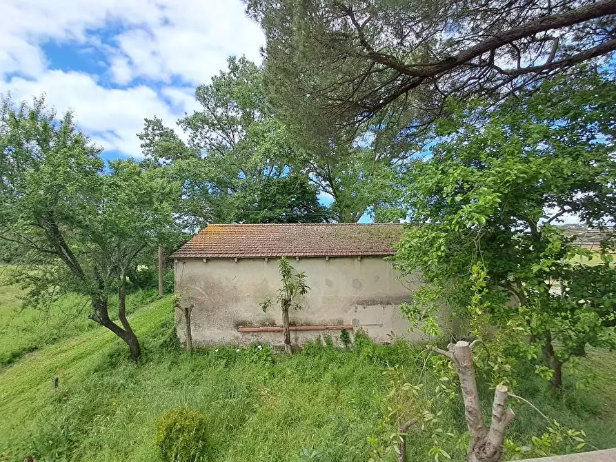 Immagine 14 di Rustico / casale in vendita  a Casciana Terme Lari