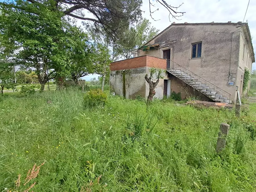 Immagine 9 di Rustico / casale in vendita  a Casciana Terme Lari