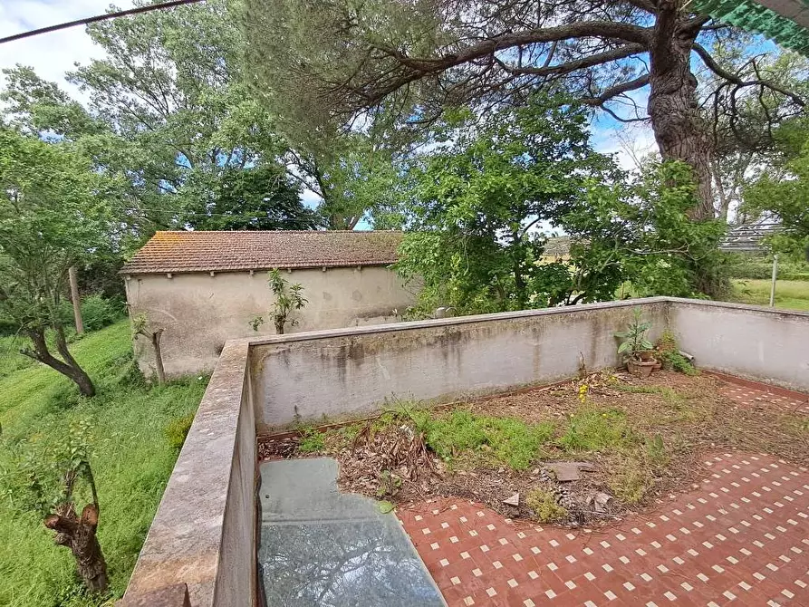 Immagine 13 di Rustico / casale in vendita  a Casciana Terme Lari