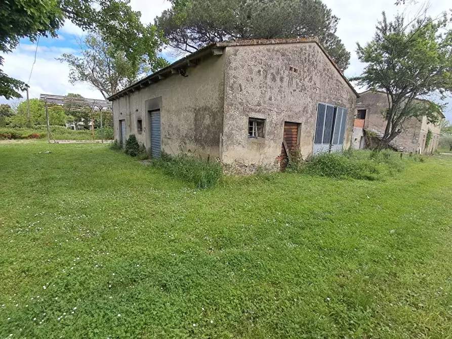 Immagine 4 di Rustico / casale in vendita  a Casciana Terme Lari