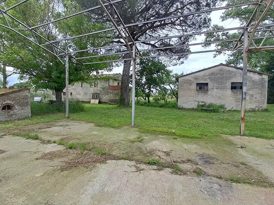 Immagine 2 di Rustico / casale in vendita  a Casciana Terme Lari