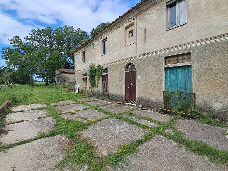 Immagine 11 di Rustico / casale in vendita  a Casciana Terme Lari