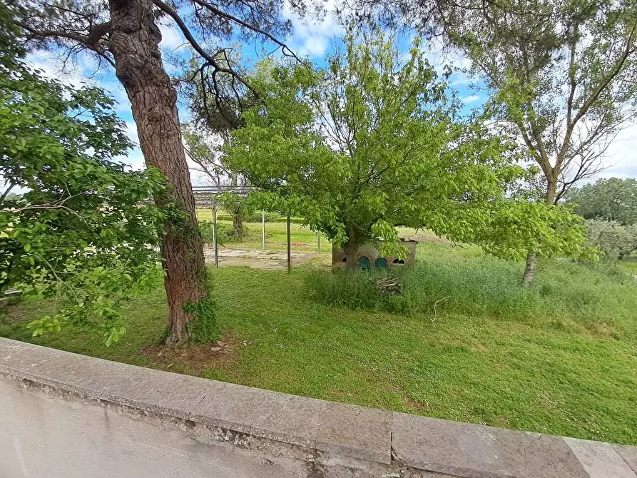 Immagine 16 di Rustico / casale in vendita  a Casciana Terme Lari