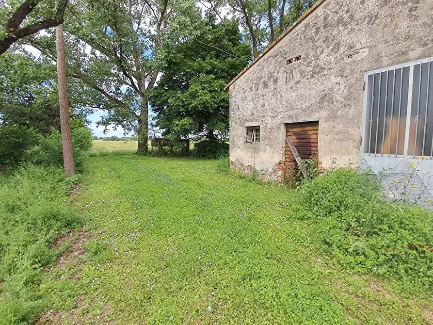 Immagine 7 di Rustico / casale in vendita  a Casciana Terme Lari