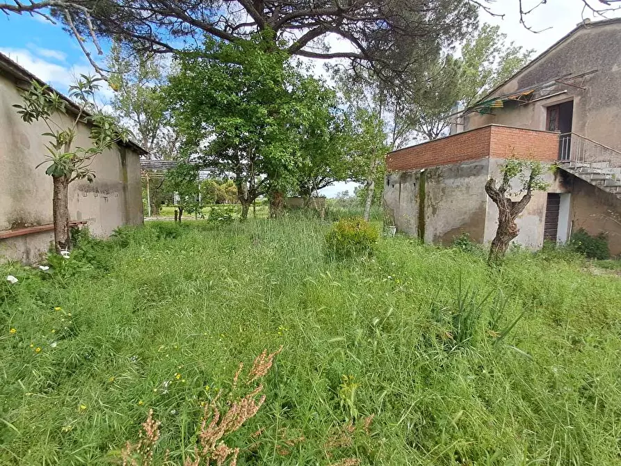 Immagine 8 di Rustico / casale in vendita  a Casciana Terme Lari