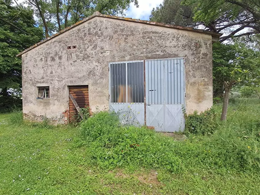 Immagine 6 di Rustico / casale in vendita  a Casciana Terme Lari