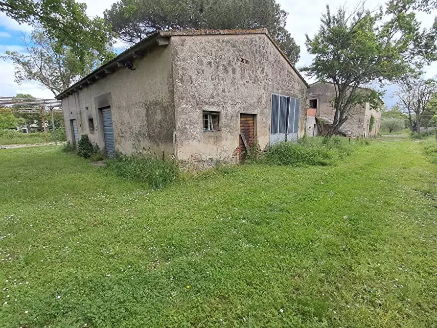 Immagine 3 di Rustico / casale in vendita  a Casciana Terme Lari