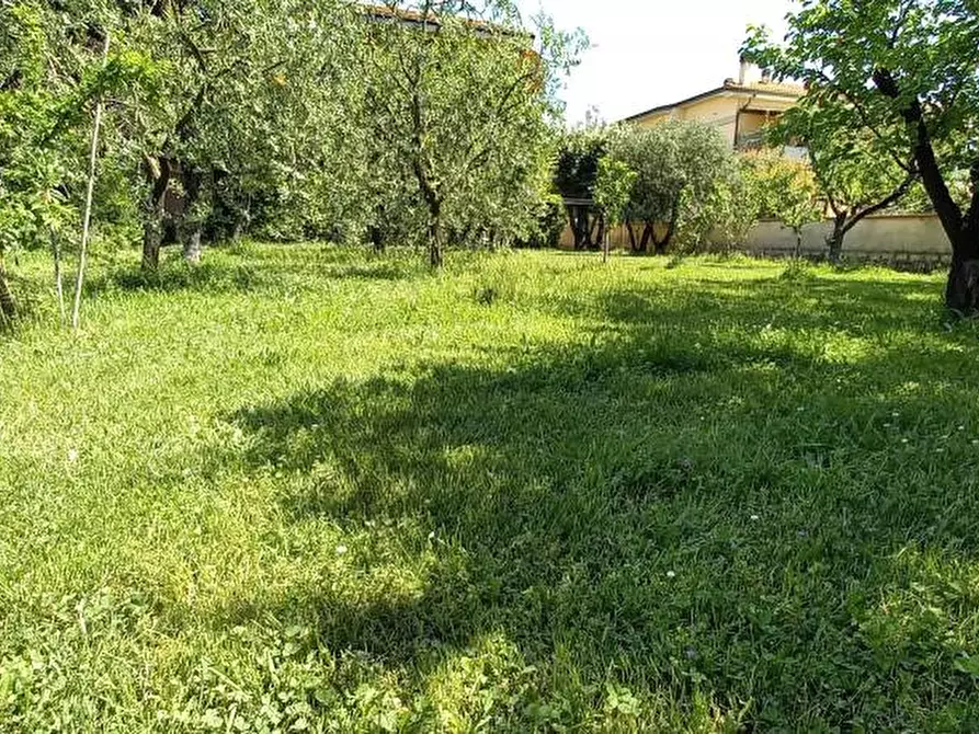 Immagine 3 di Villa in vendita  a Casciana Terme Lari