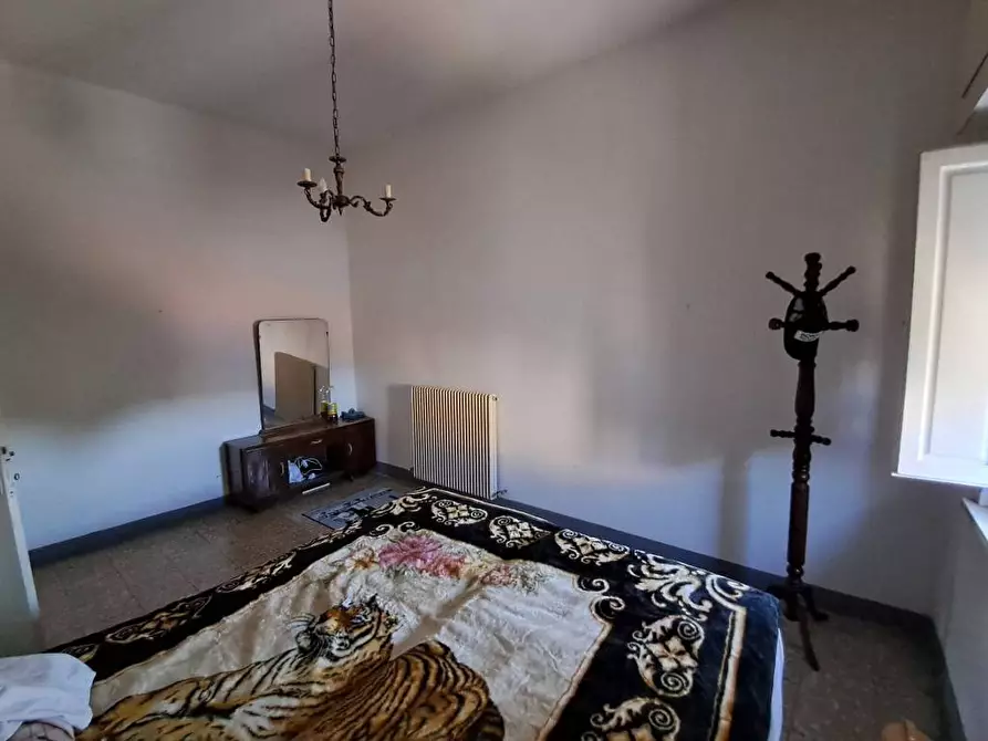 Immagine 47 di Casa indipendente in vendita  a Crespina Lorenzana