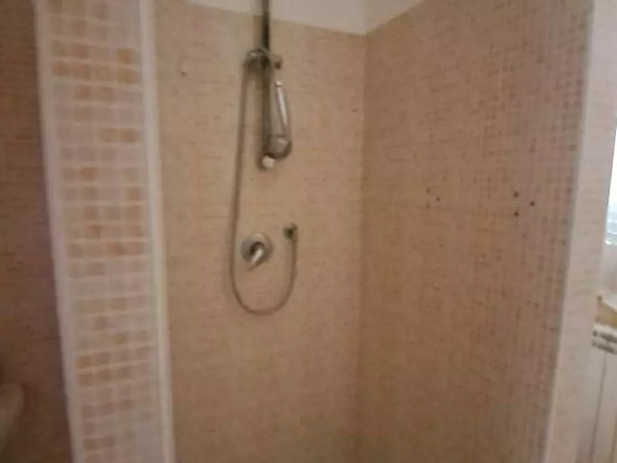 Immagine 20 di Appartamento in vendita  a Terricciola