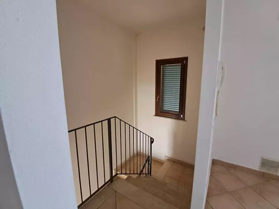 Immagine 26 di Appartamento in vendita  a Terricciola