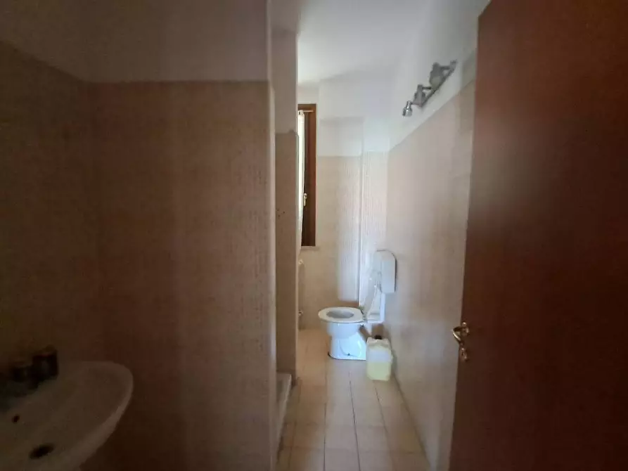 Immagine 38 di Appartamento in vendita  a Terricciola