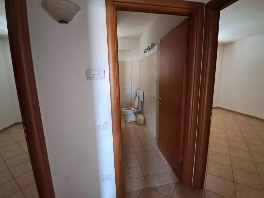 Immagine 24 di Appartamento in vendita  a Terricciola