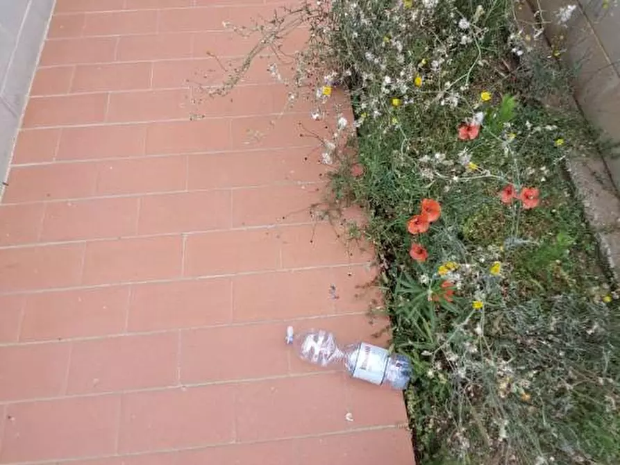 Immagine 1 di Appartamento in vendita  a Terricciola