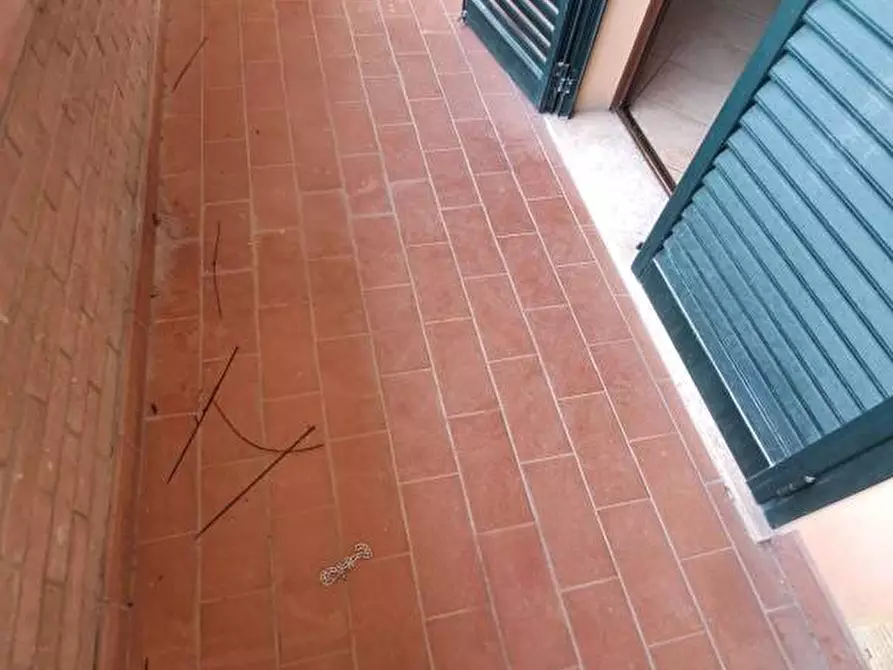 Immagine 25 di Appartamento in vendita  a Terricciola