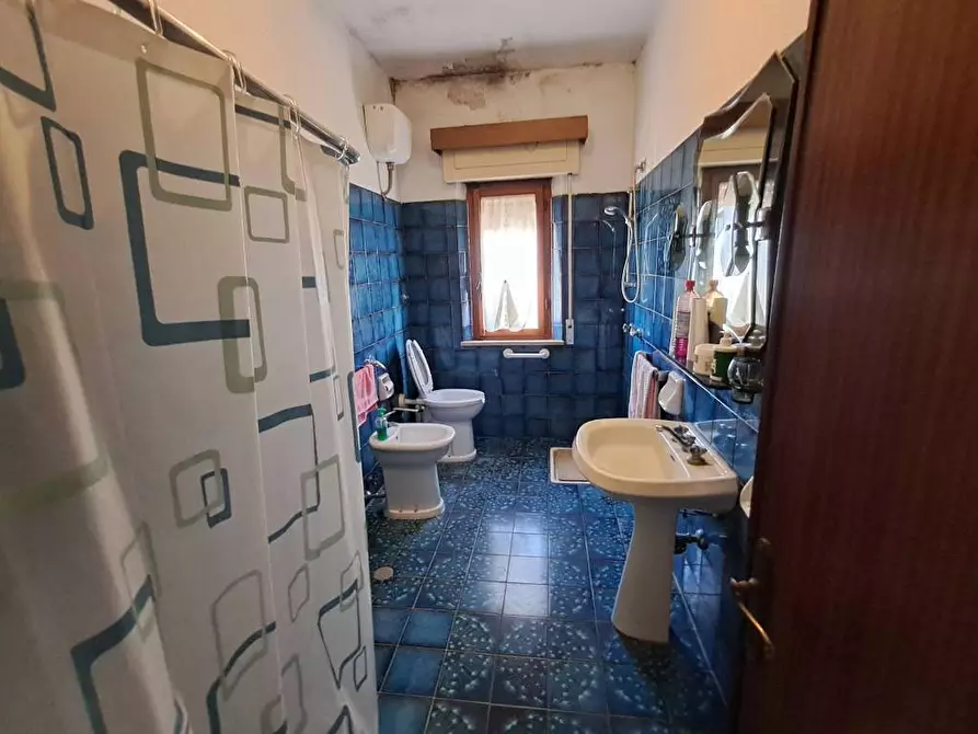 Immagine 36 di Casa indipendente in vendita  a Crespina Lorenzana