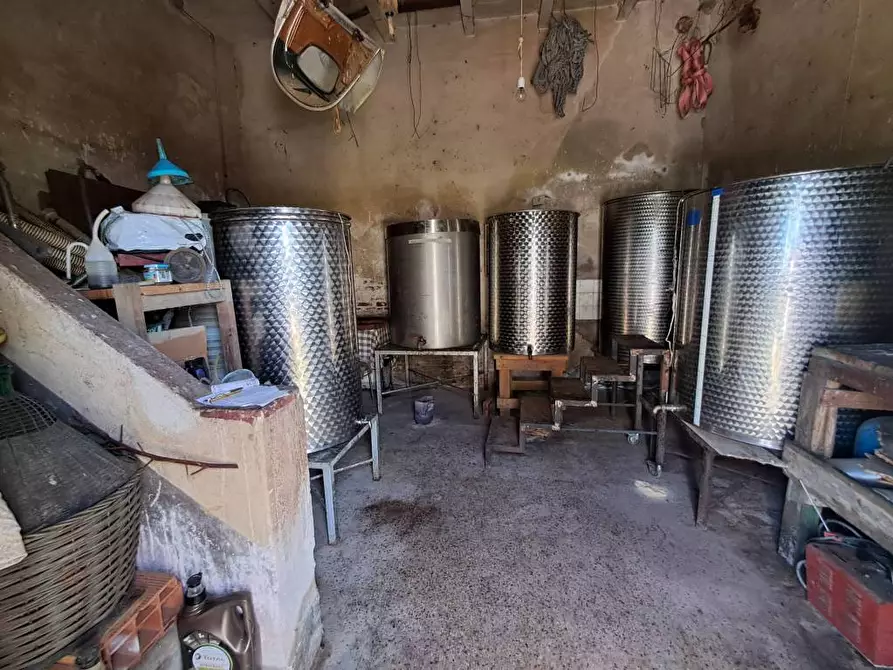 Immagine 26 di Casa indipendente in vendita  a Crespina Lorenzana