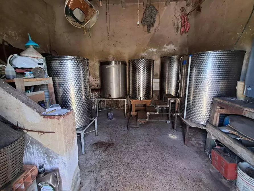 Immagine 25 di Casa indipendente in vendita  a Crespina Lorenzana