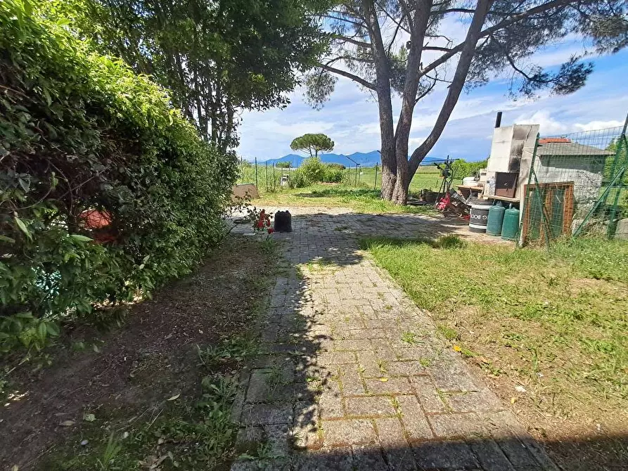 Immagine 3 di Villa in vendita  a Crespina Lorenzana
