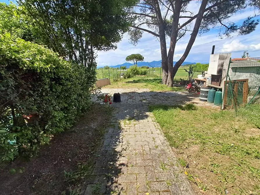 Immagine 1 di Villa in vendita  a Crespina Lorenzana