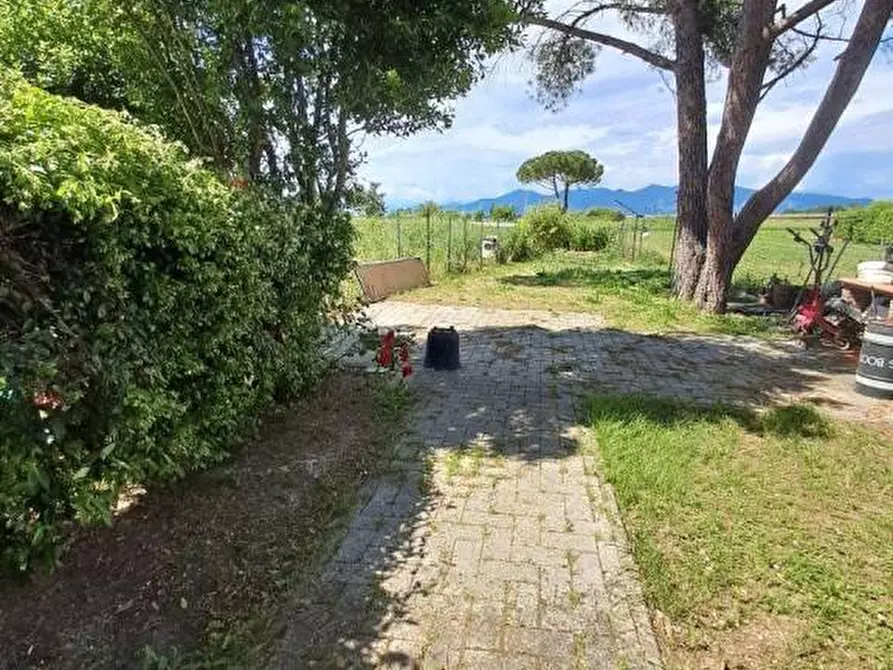 Immagine 2 di Villa in vendita  a Crespina Lorenzana