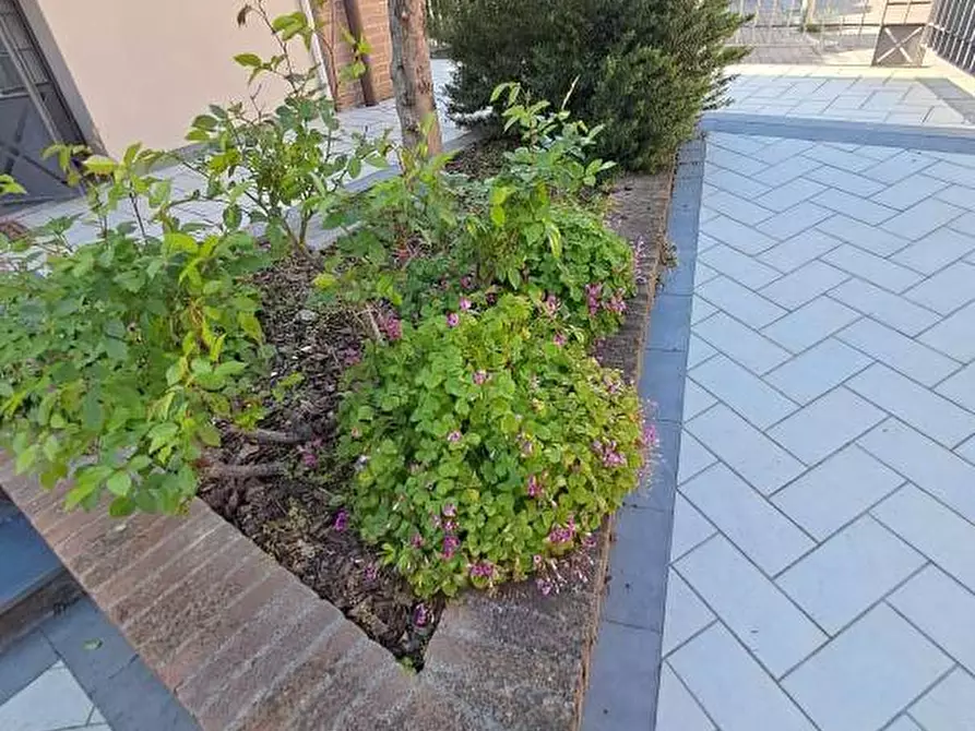 Immagine 29 di Casa indipendente in vendita  a Ponsacco