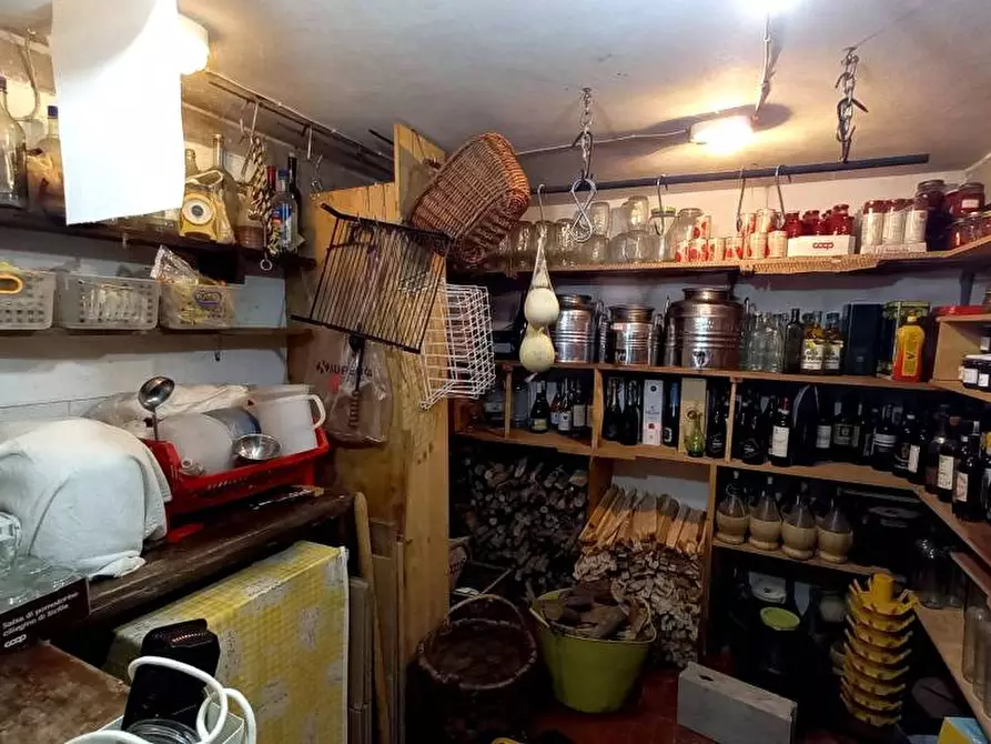 Immagine 43 di Villa in vendita  a Casciana Terme Lari