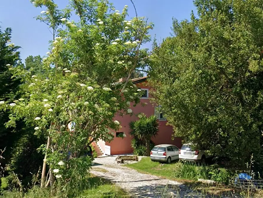 Immagine 1 di Appartamento in vendita  a San Giuliano Terme