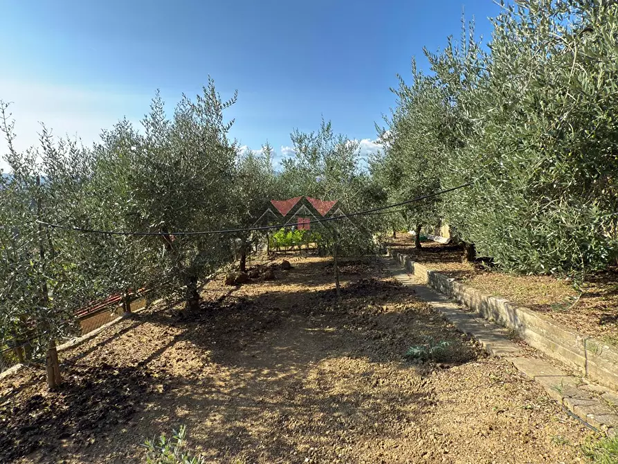 Immagine 28 di Appartamento in vendita  a Pomarance