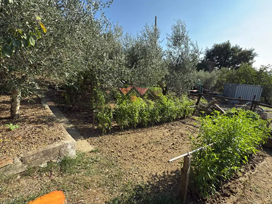 Immagine 31 di Appartamento in vendita  a Pomarance