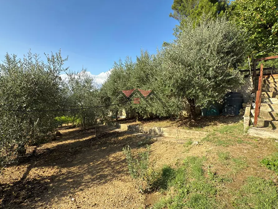 Immagine 30 di Appartamento in vendita  a Pomarance