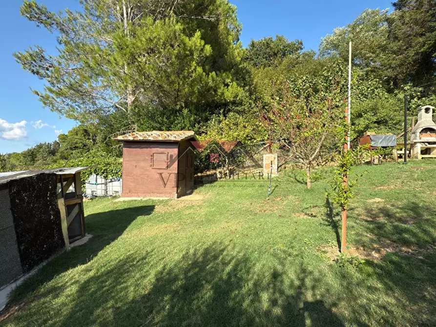 Immagine 27 di Appartamento in vendita  a Pomarance