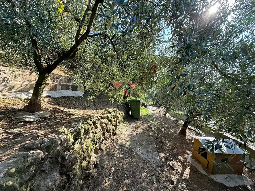 Immagine 32 di Appartamento in vendita  a Pomarance