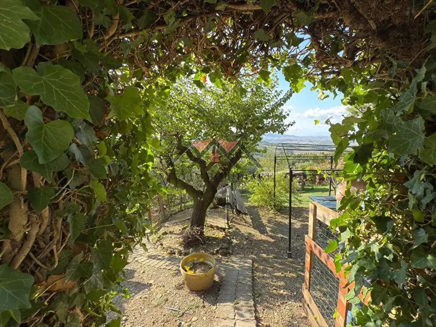 Immagine 24 di Appartamento in vendita  a Pomarance