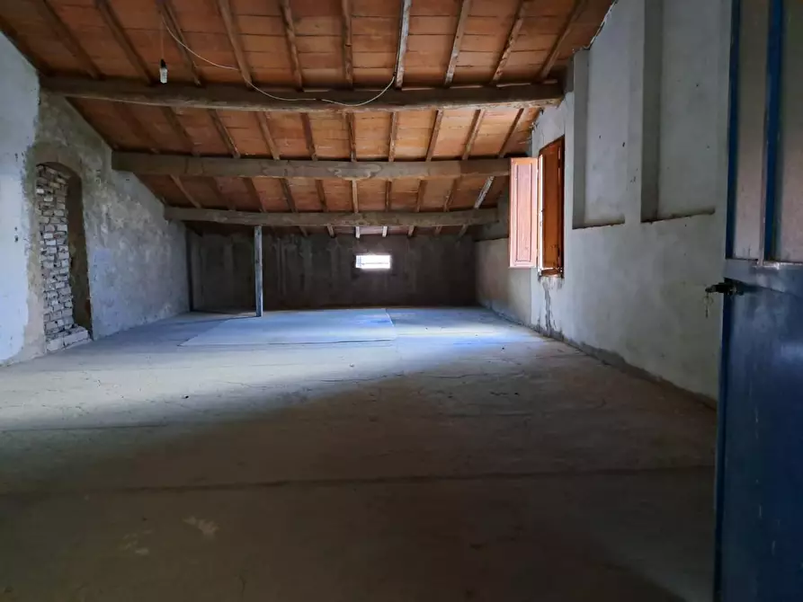 Immagine 1 di Attività artigianale in vendita  a Peccioli