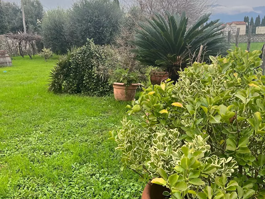 Immagine 35 di Casa bifamiliare in vendita  a Lucca