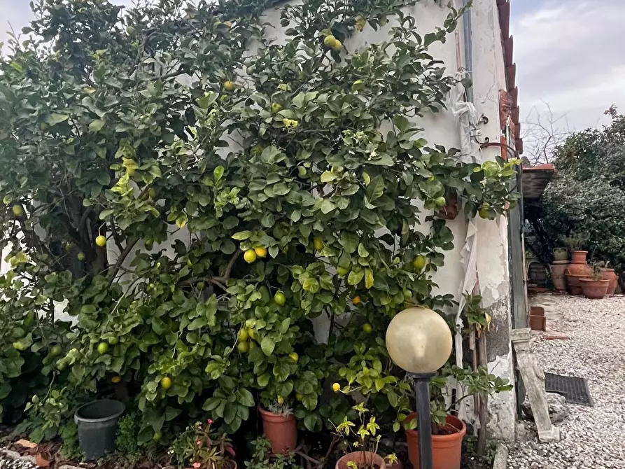 Immagine 1 di Casa bifamiliare in vendita  a Lucca