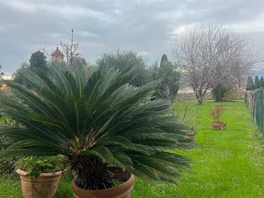 Immagine 32 di Casa bifamiliare in vendita  a Lucca