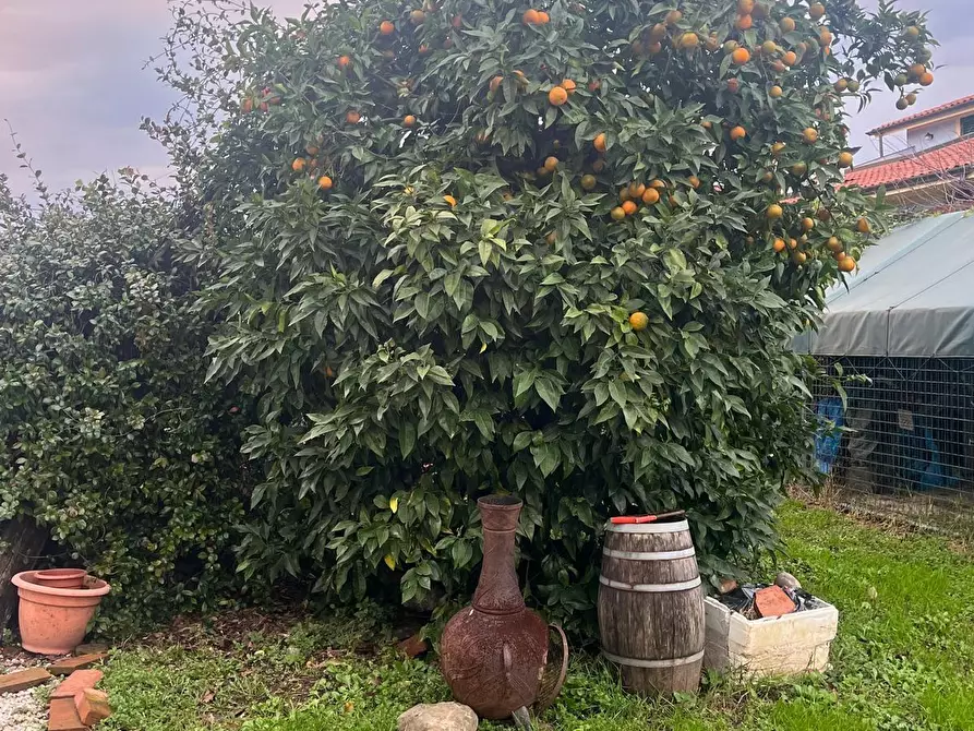 Immagine 34 di Casa bifamiliare in vendita  a Lucca