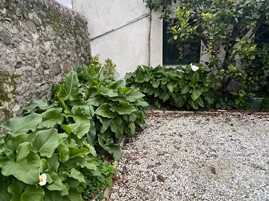 Immagine 31 di Casa bifamiliare in vendita  a Lucca