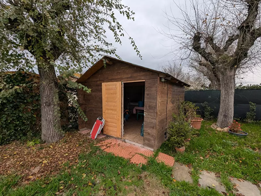 Immagine 25 di Appartamento in vendita  a Grosseto