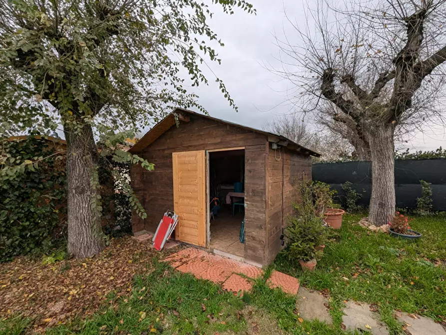 Immagine 26 di Appartamento in vendita  a Grosseto