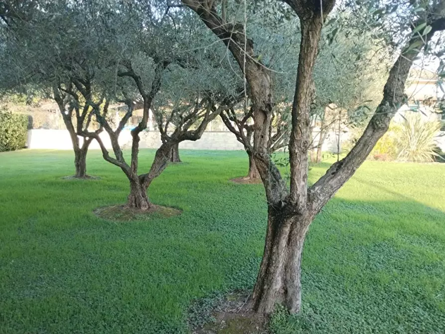 Immagine 10 di Villa in vendita  a Massa