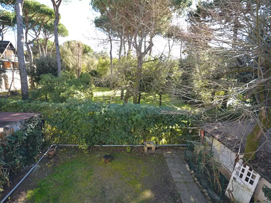 Immagine 23 di Casa quadrifamiliare in vendita  a Massa