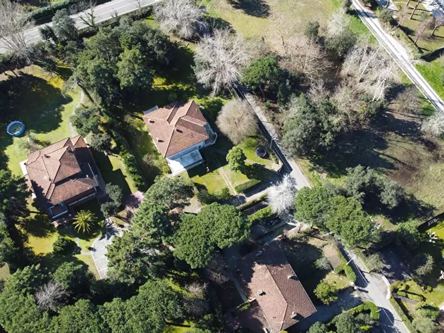 Immagine 3 di Casa quadrifamiliare in vendita  a Massa