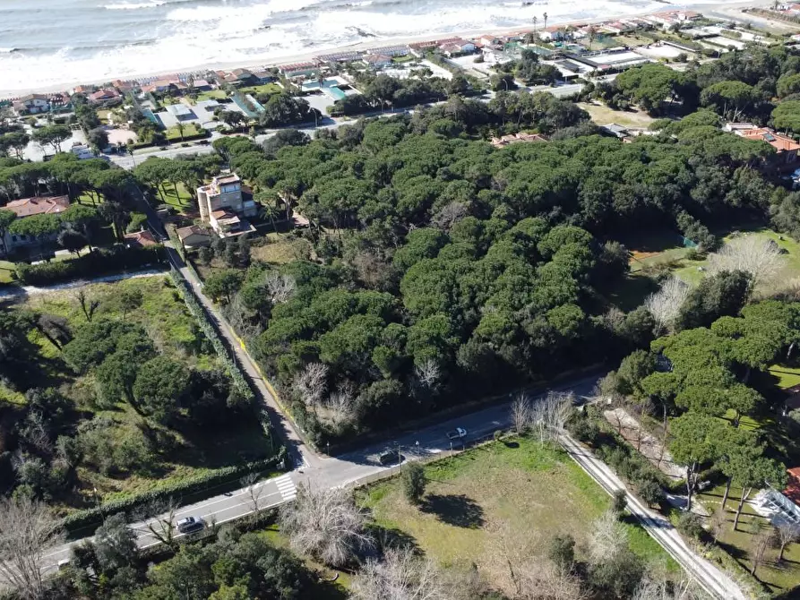 Immagine 8 di Casa quadrifamiliare in vendita  a Massa