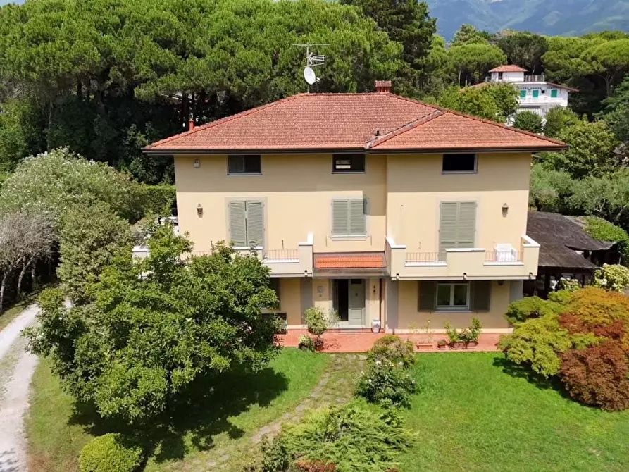 Immagine 4 di Villa in vendita  a Massa