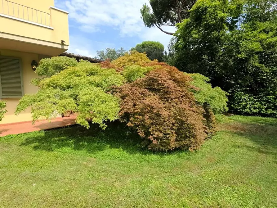Immagine 13 di Villa in vendita  a Massa