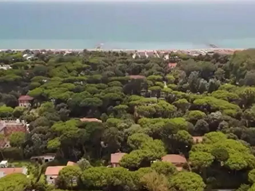 Immagine 8 di Villa in vendita  a Massa