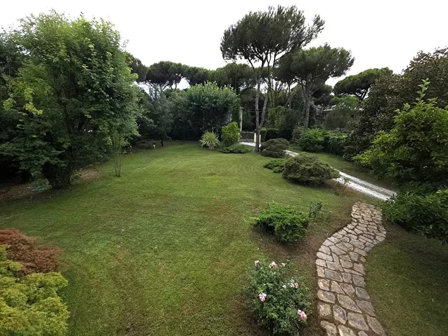 Immagine 5 di Villa in vendita  a Massa